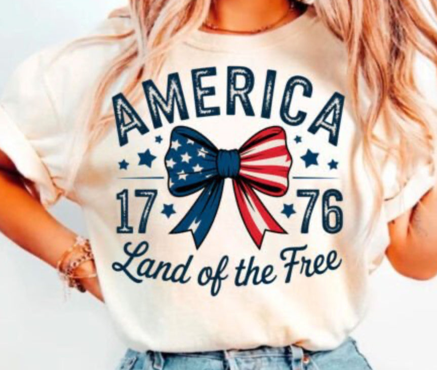 America Land of the Free DTF Transfer